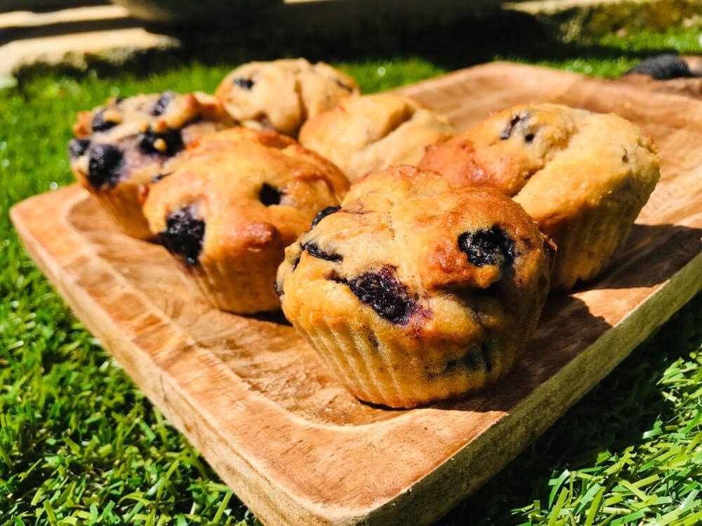 Blueberry & Ricotta Muffins – Tiny Turtle