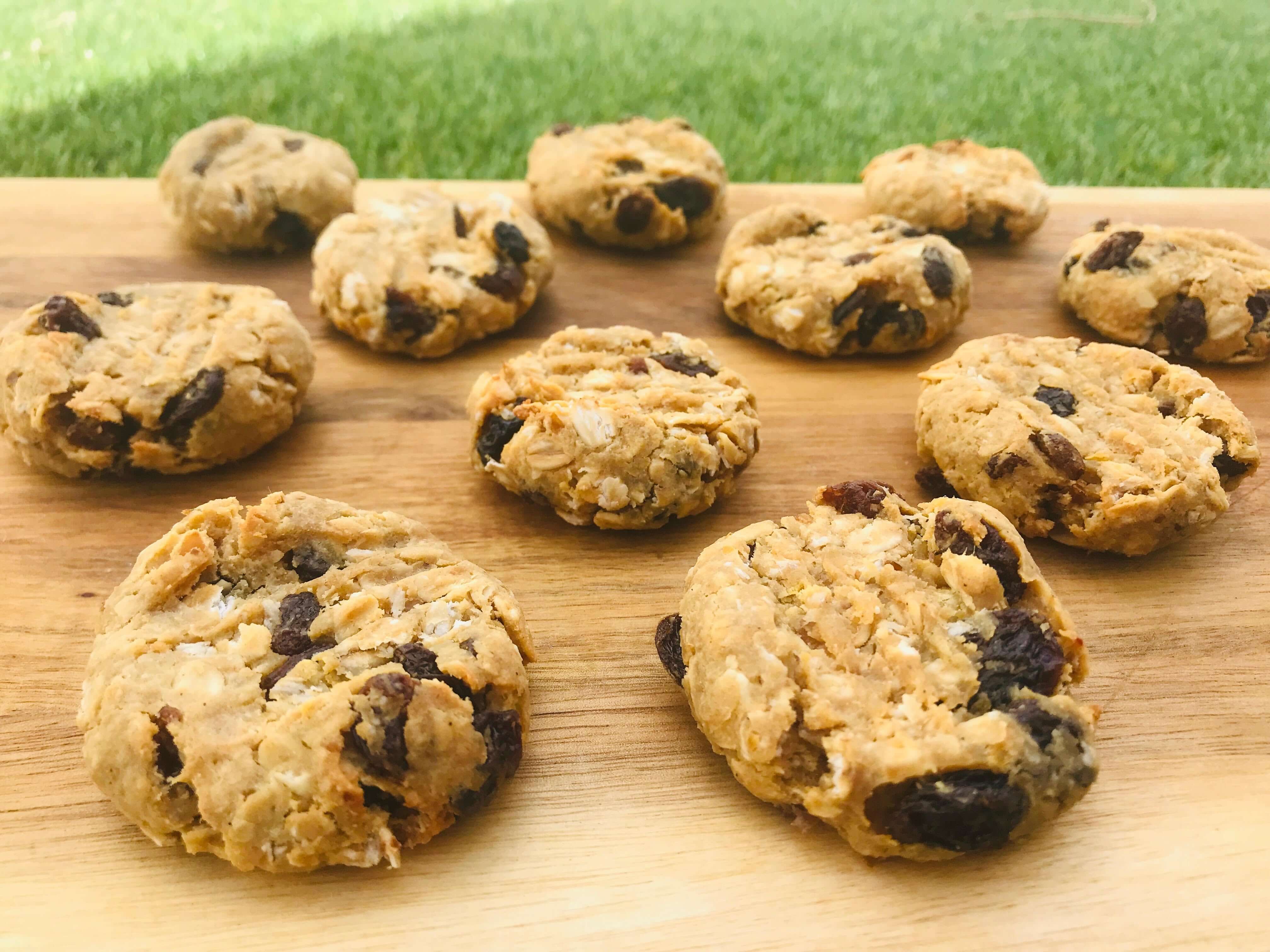 Sultana Oat & Peanut Cookies – Tiny Turtle