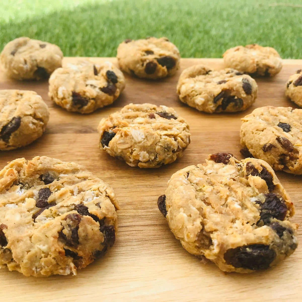 Sultana Oat & Peanut Cookies – Tiny Turtle