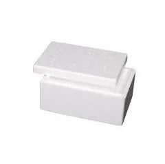 Polystyrene Esky