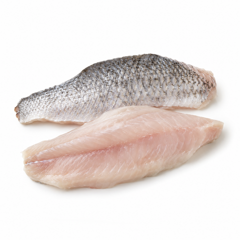 Australian Barramundi