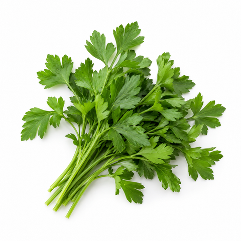 Australian Parsley