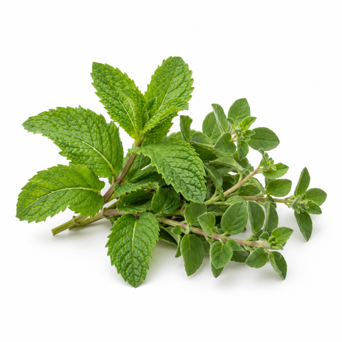Australian Herbs 