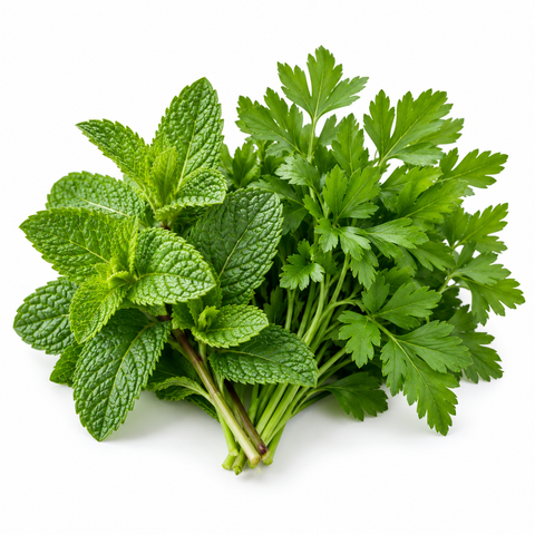 Australian Mint and Parsley 