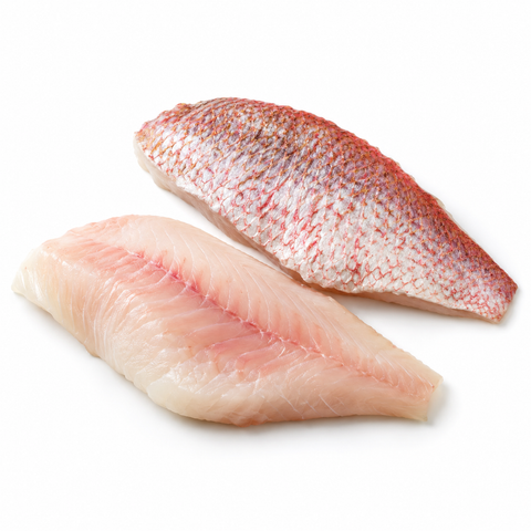 Australian Snapper 