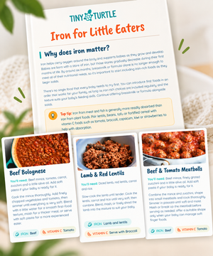Iron for Little Eaters