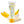 Jack and Jill Toothpaste