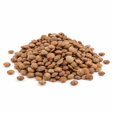 Australian Brown Lentils 