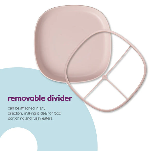 Bbox 2 in 1 Suction Plate